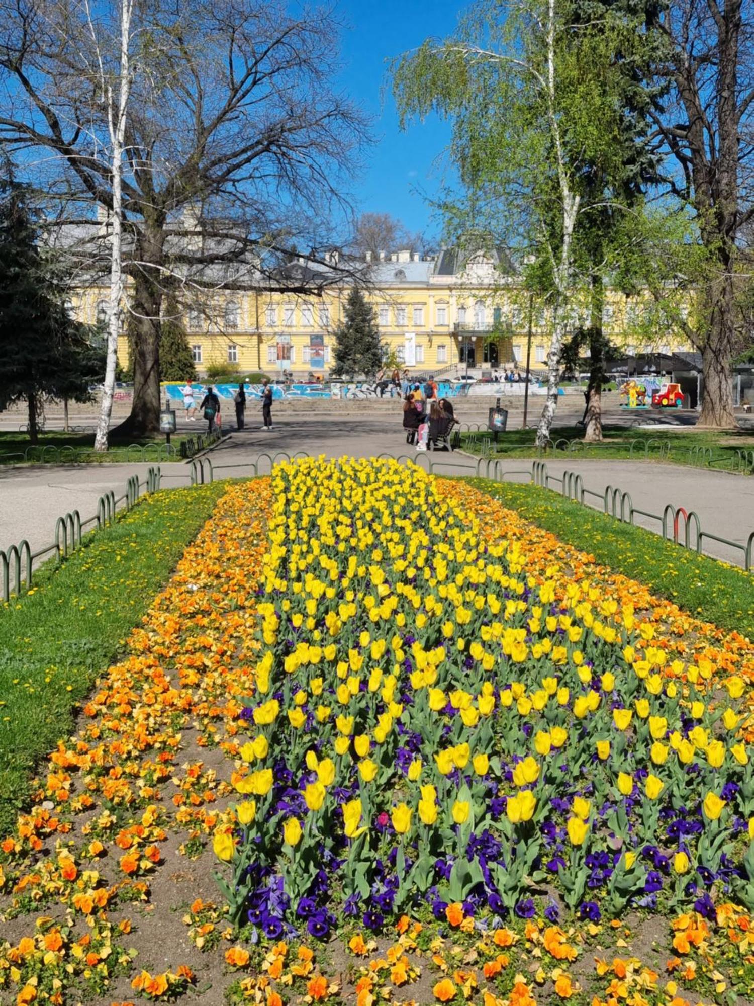 Appartamento Tulip Dreamland Sofia Esterno foto