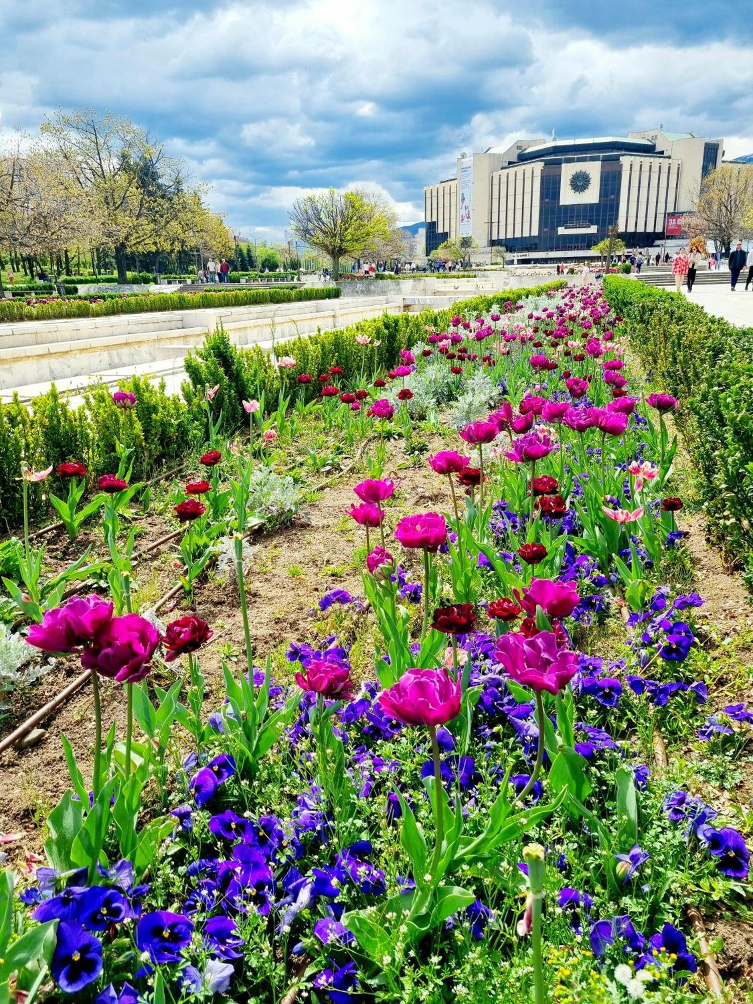 Appartamento Tulip Dreamland Sofia Esterno foto